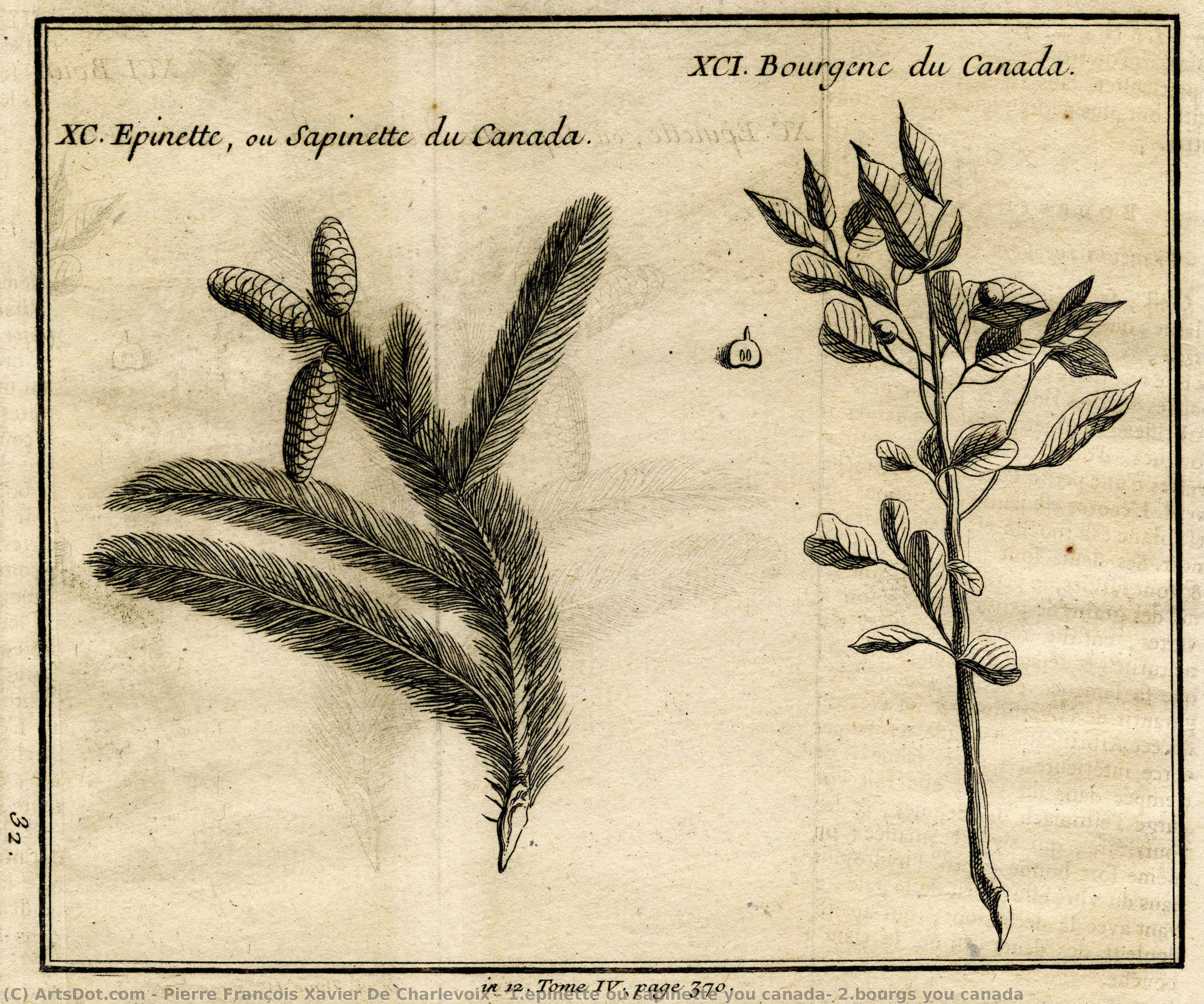 1.epinette Ou Sapinette You Canada; 2.bourgs You Canada — Pierre François Xavier De Charlevoix