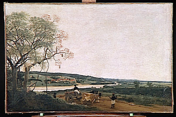 Le Char A Boeuf. Paysage Bresilien — Франс Пост