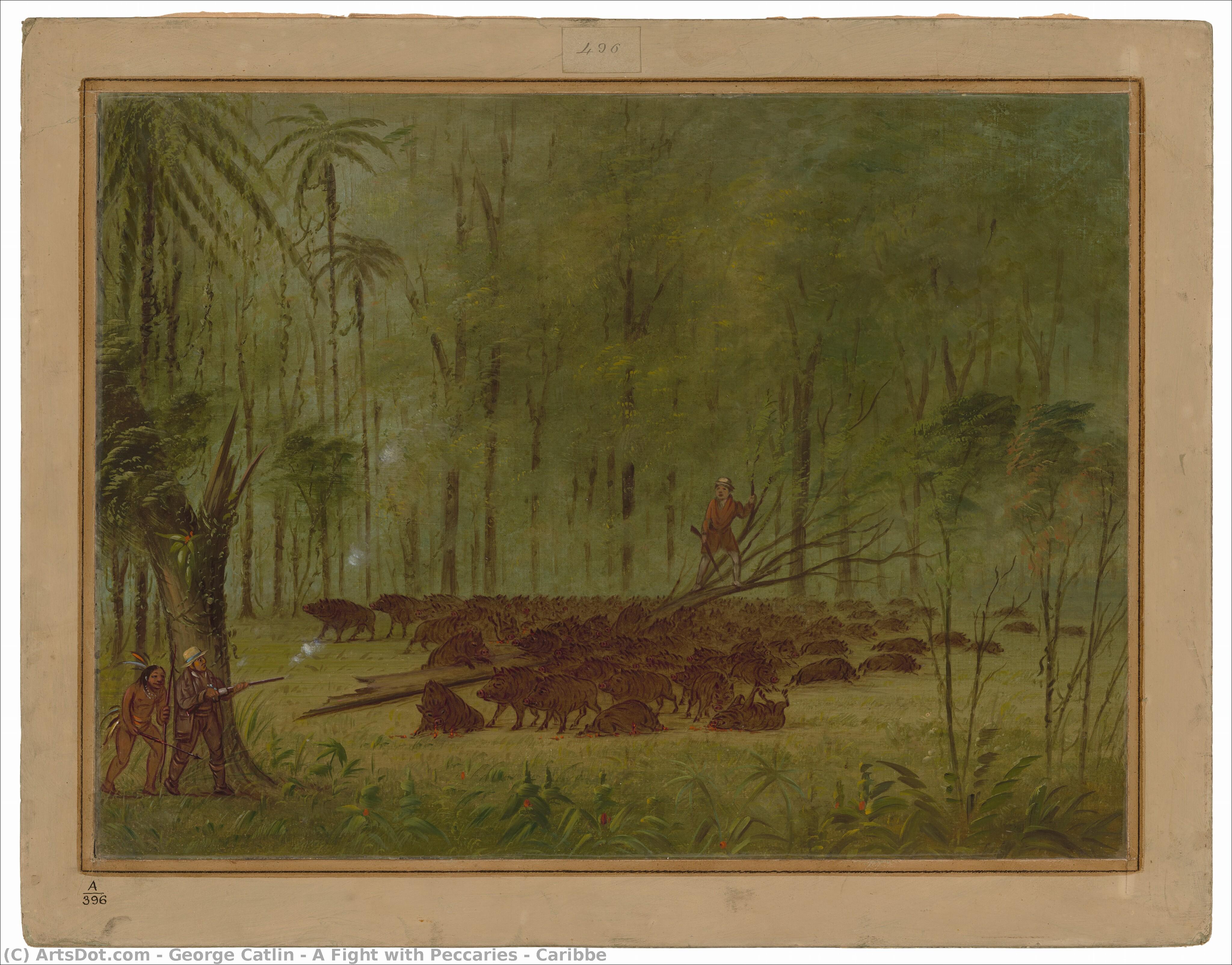 A Fight With Peccaries - Caribbe — George Catlin