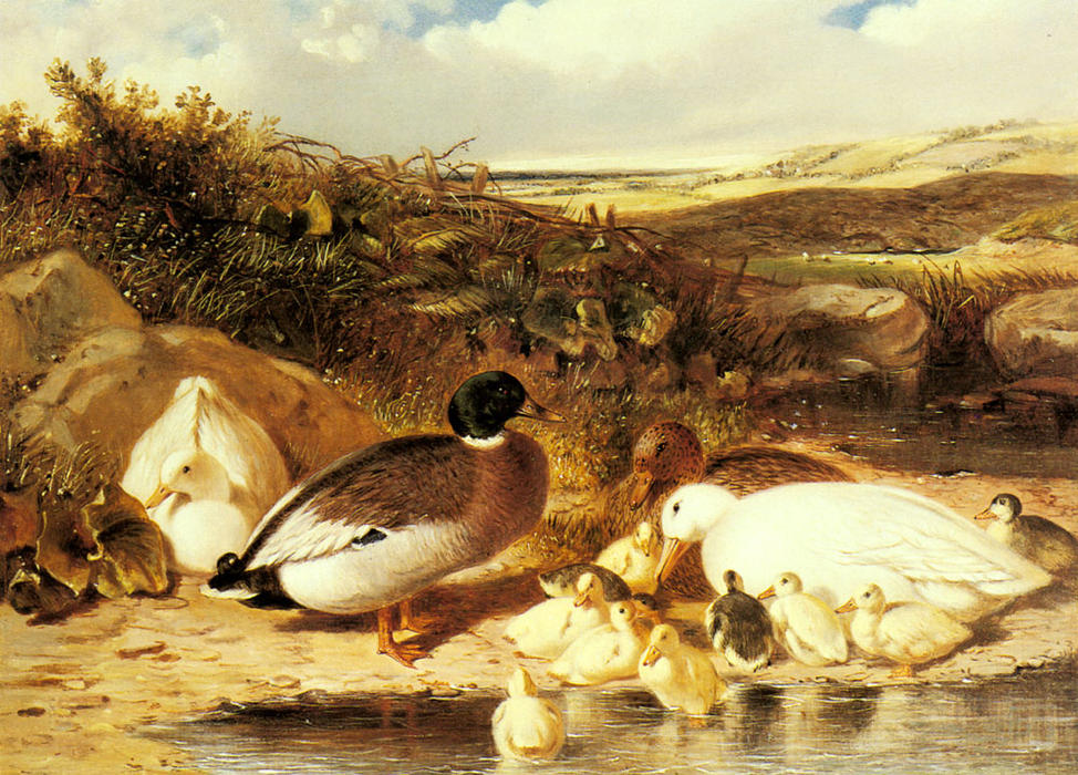 Mallard Ducks And Ducklings On A River Bank — John Frederick Herring Senior