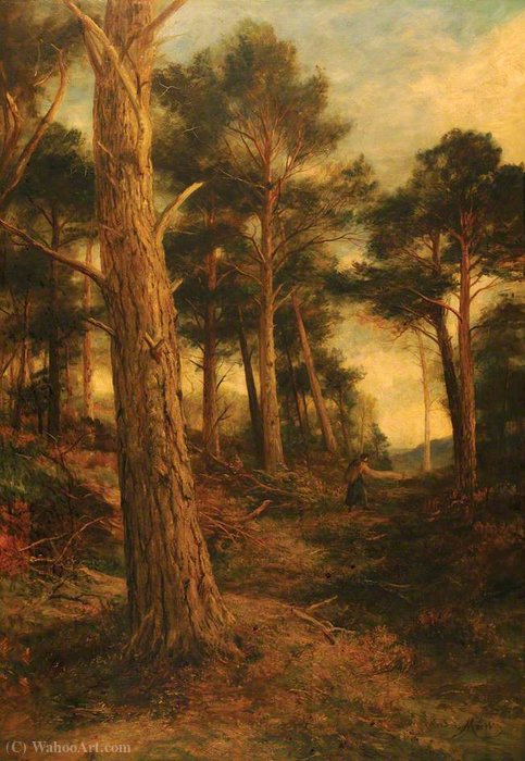 Scotch Firs, Rothiemurchus — Джон Маквиртер