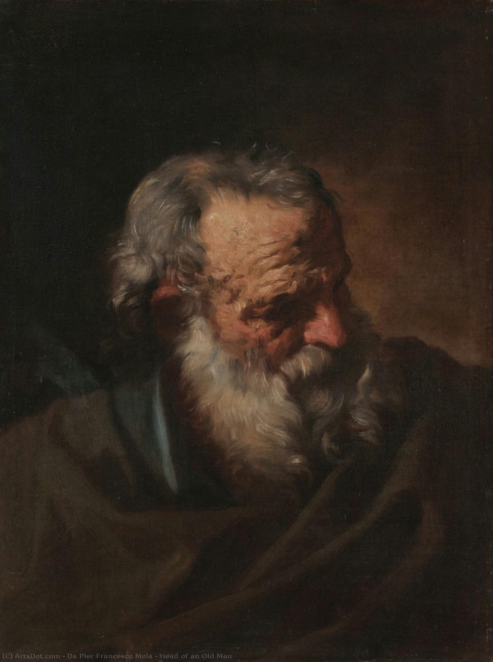 Head Of An Old Man — Da Pier Francesco Mola
