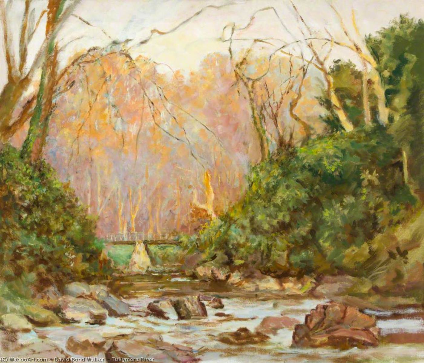 Tullymore River — David Bond Walker