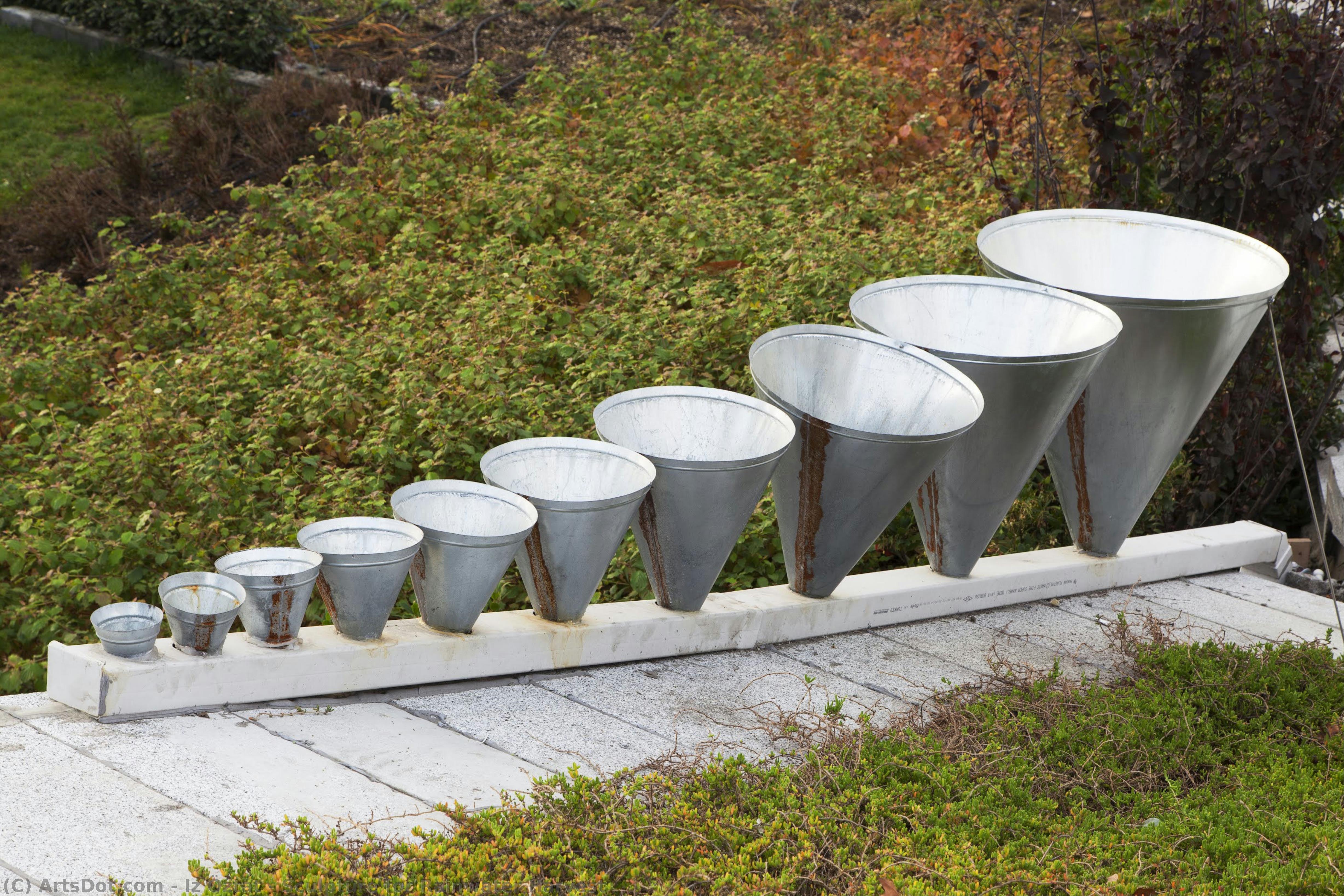 Sculpture For Rainwater Harvest — Iz Öztat
