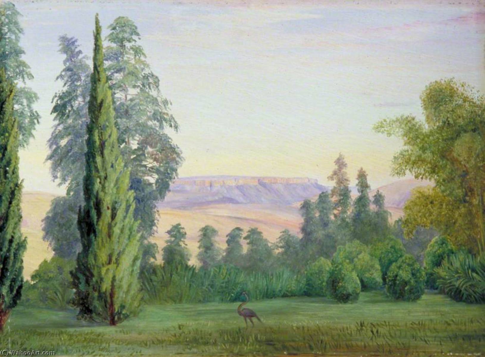 View Of A Table Mountain From Bishop Colenso's House, Natal — Marianne North