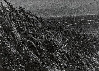 Untitled 5 From The Series Yokosuka Story — Miyako Ishiuchi