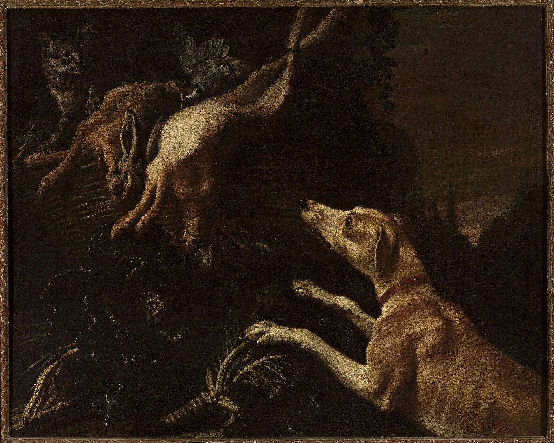Dog Attacking A Cat — Jan Vonck