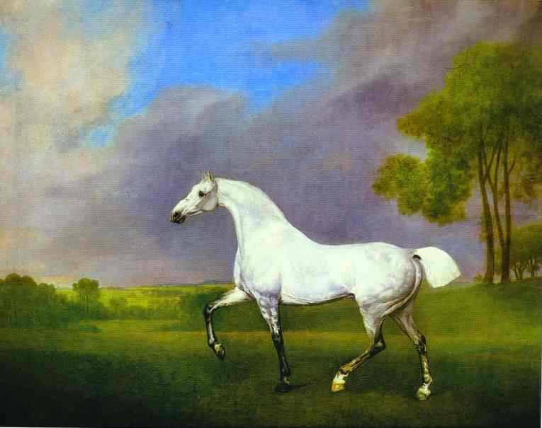 A Grey Horse — ジョージ・スタッブス
