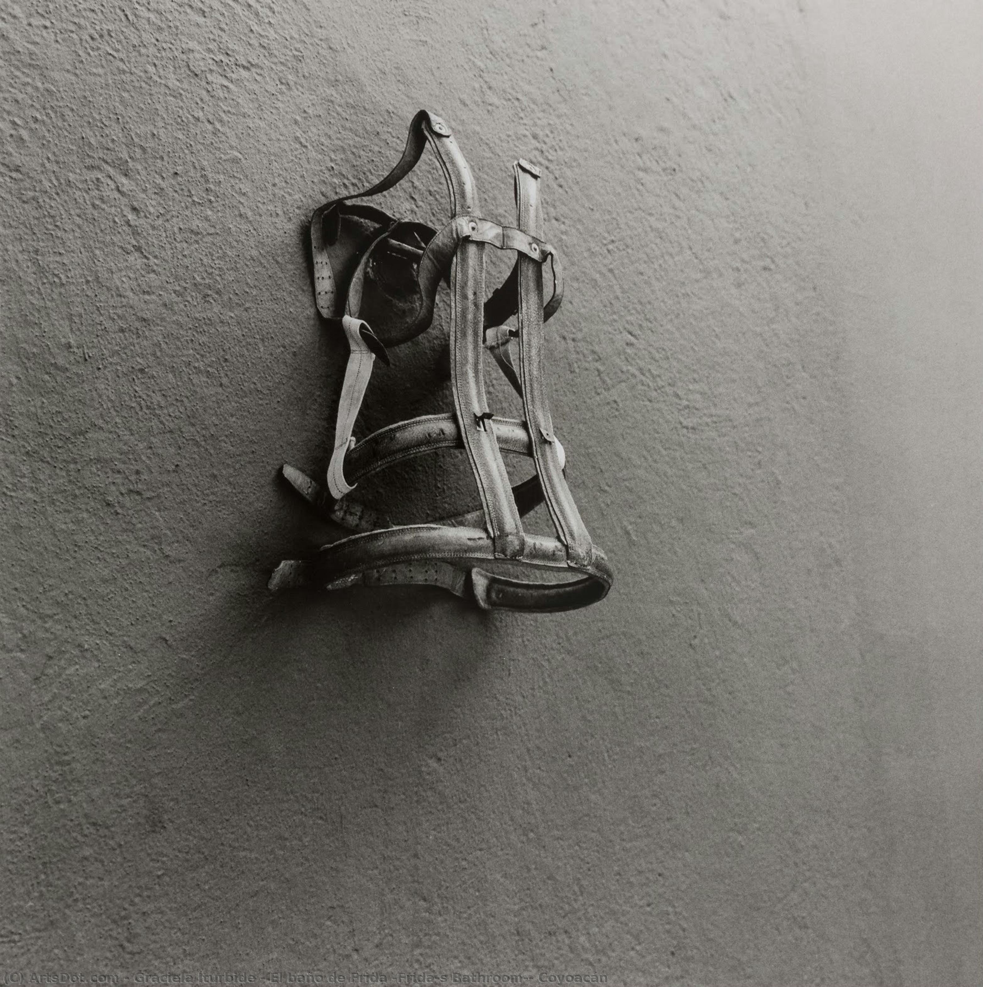 El Baño De Frida (frida’s Bathroom), Coyoacán — Graciela Iturbide