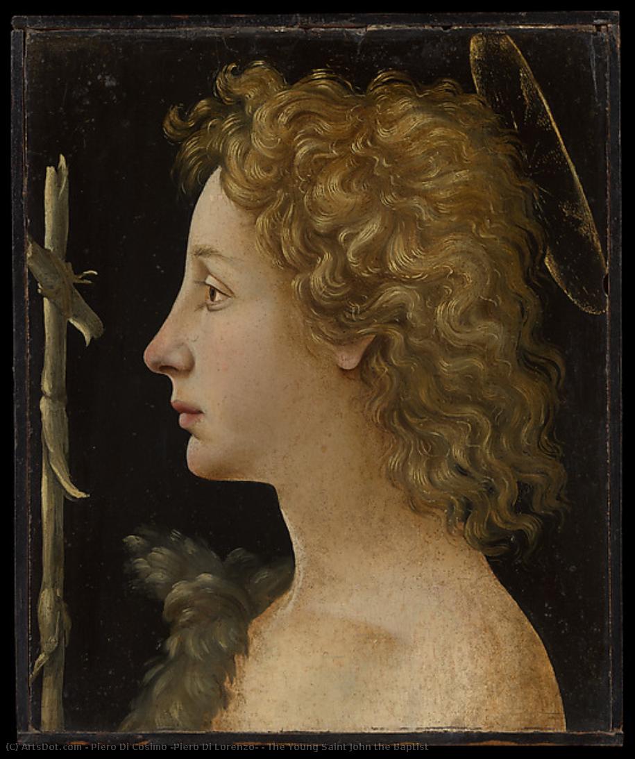 The Young Saint John The Baptist — Piero Di Cosimo (piero Di Lorenzo)