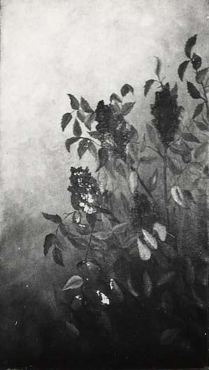 Red Sumac, (painting) — Margaret Rachel Washer