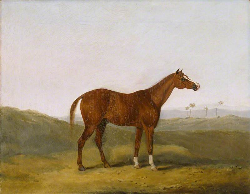 The Cole Arabian In An Indian Landscape — Charles Henry Schwanfelder