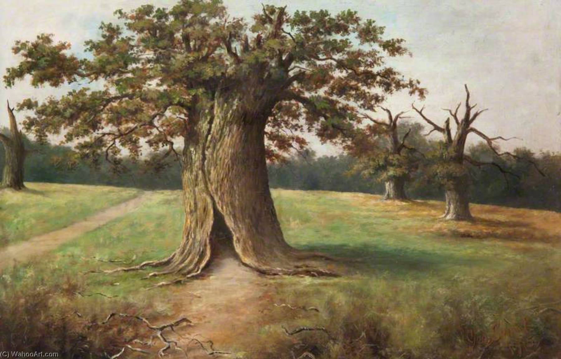 Boss Oak, Cadzow Forest — George Sweet
