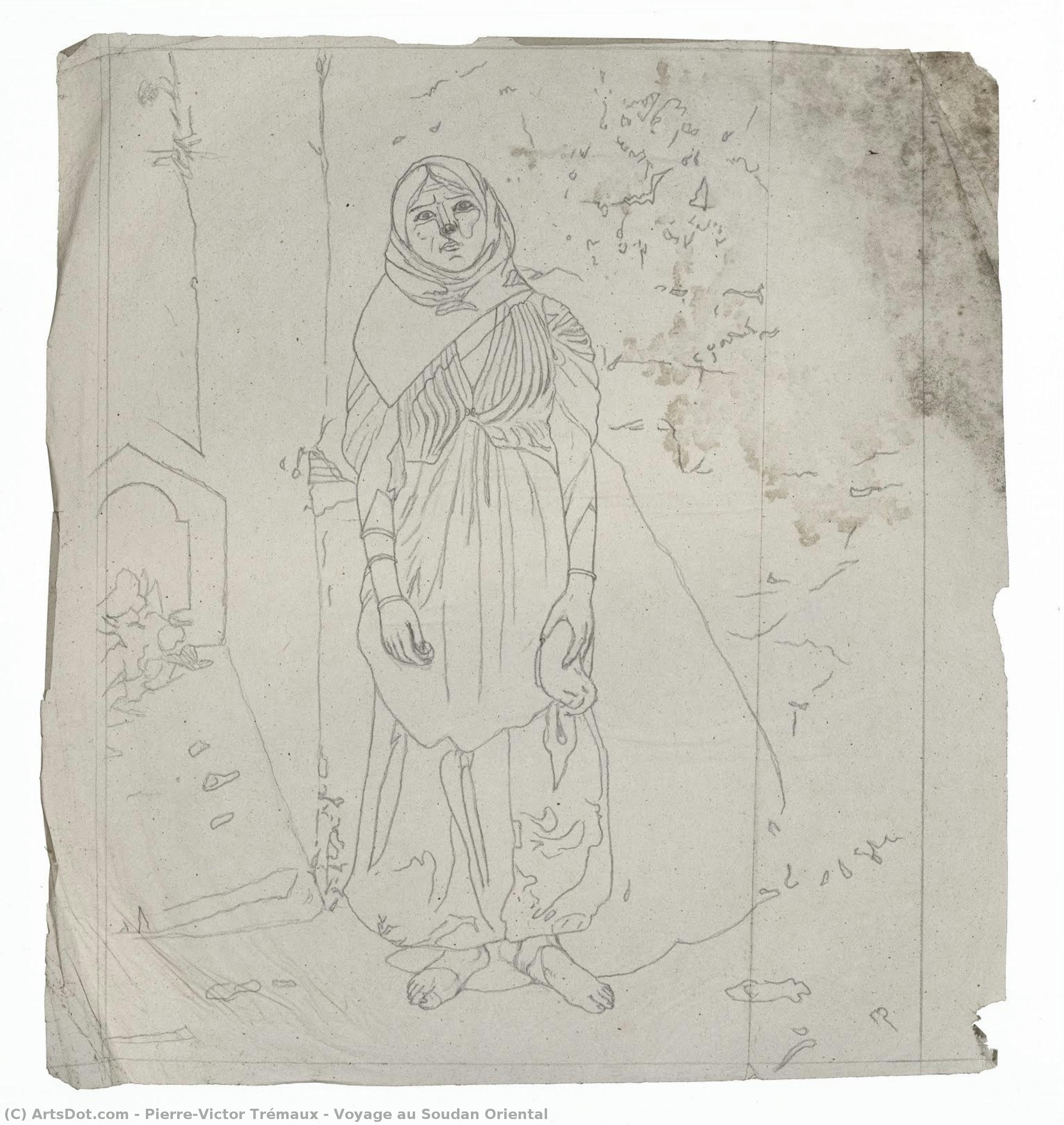 Voyage Au Soudan Oriental — Pierre-victor Trémaux