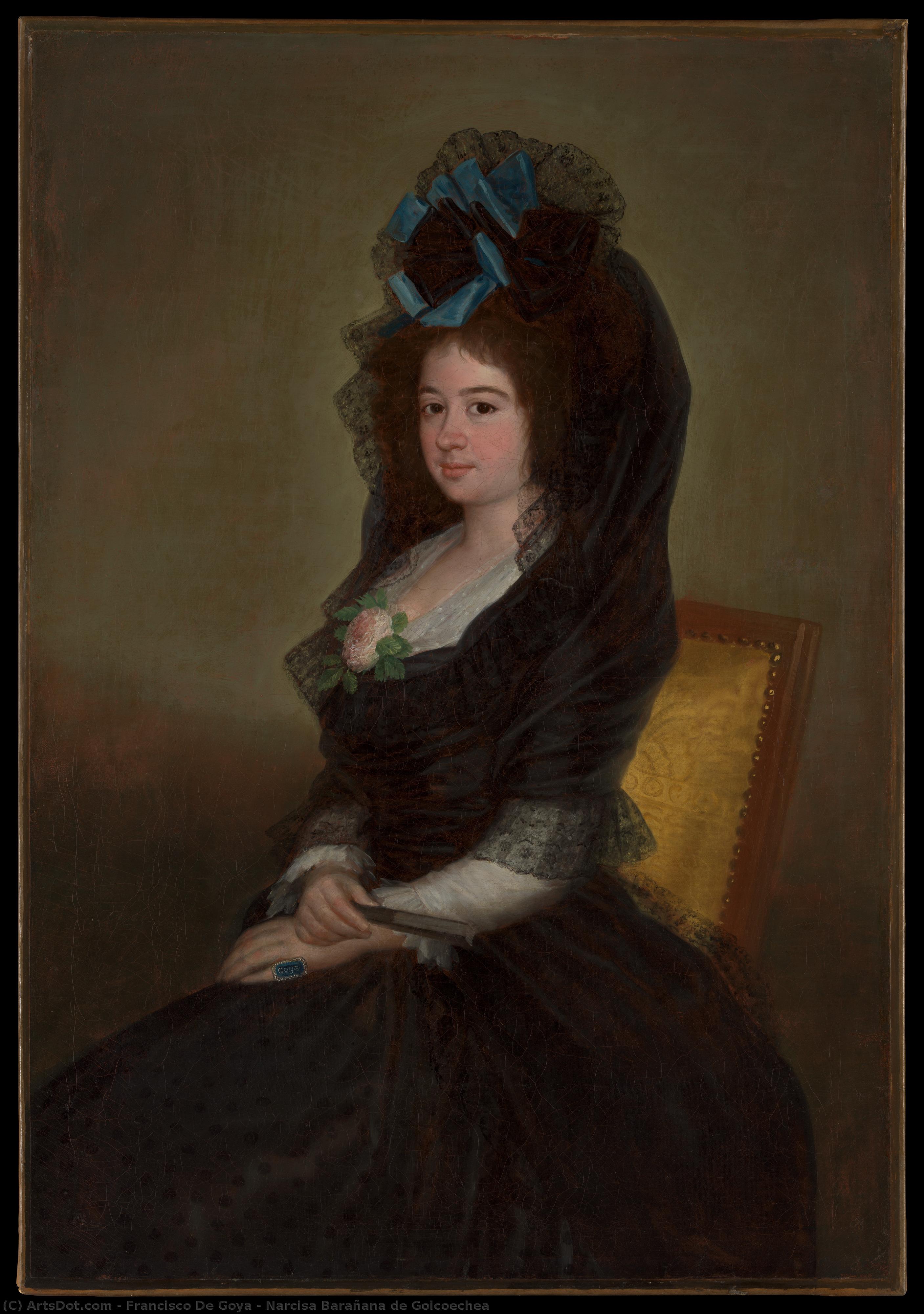 Narcisa Barañana De Goicoechea — Francisco José De Goya Y Lucientes