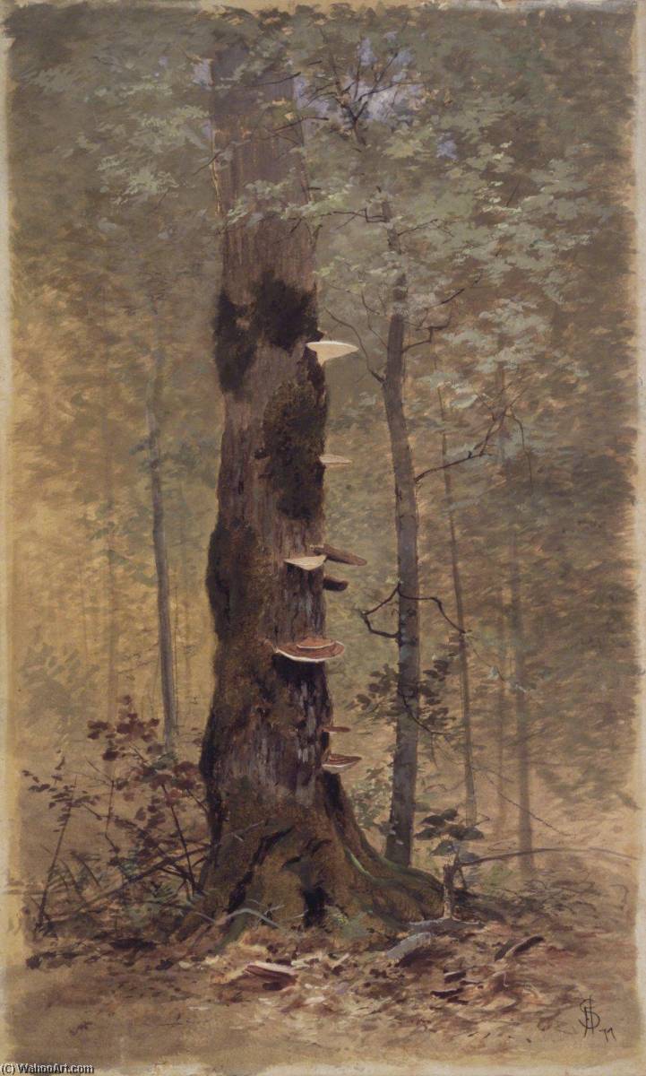 In The Woods — Francis Hopkinson Smith