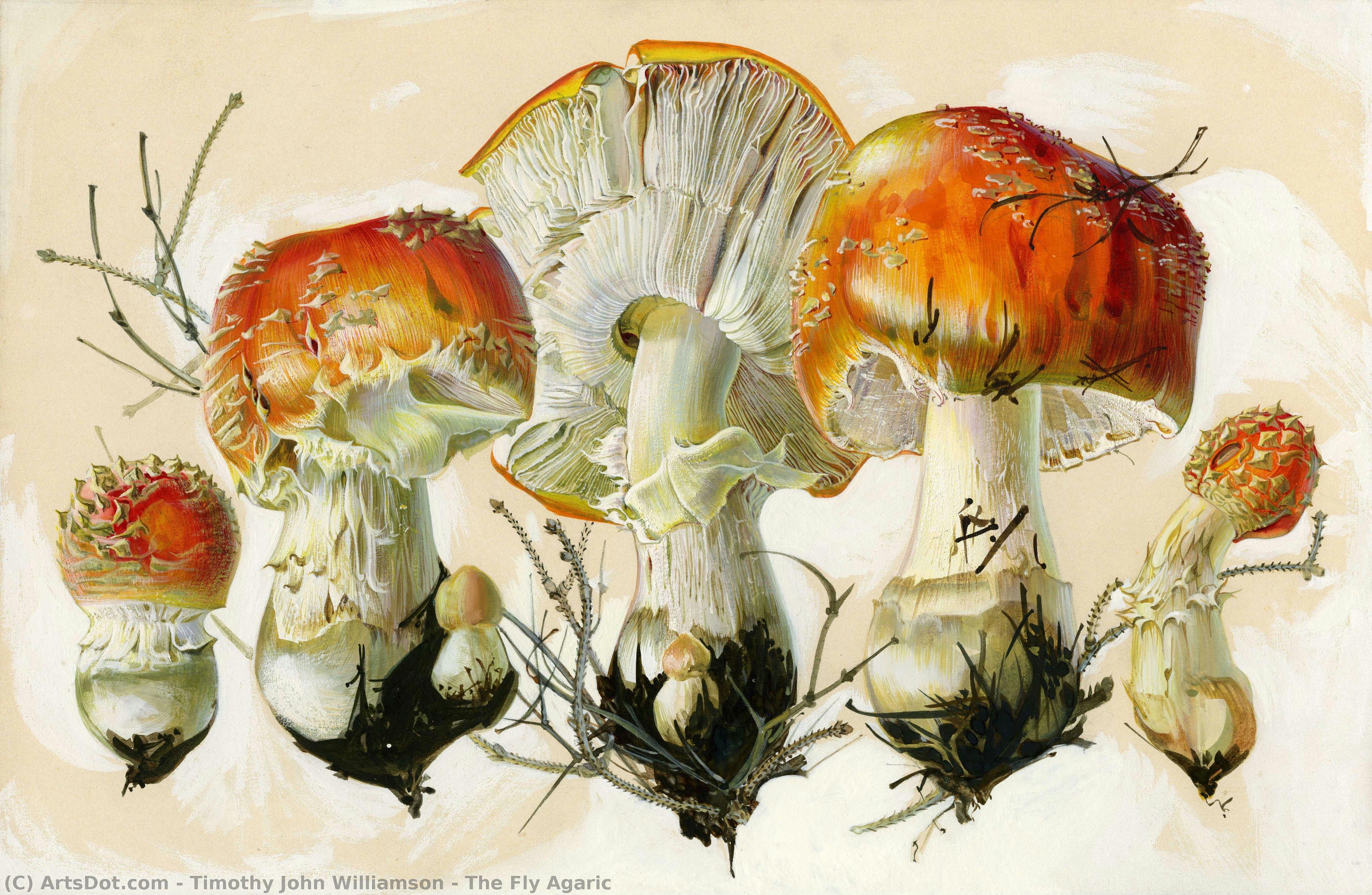 The Fly Agaric — Тимофей Джон Уильямсон