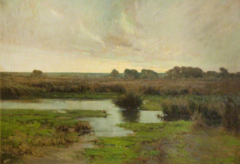 Marshland — Frederick Milner