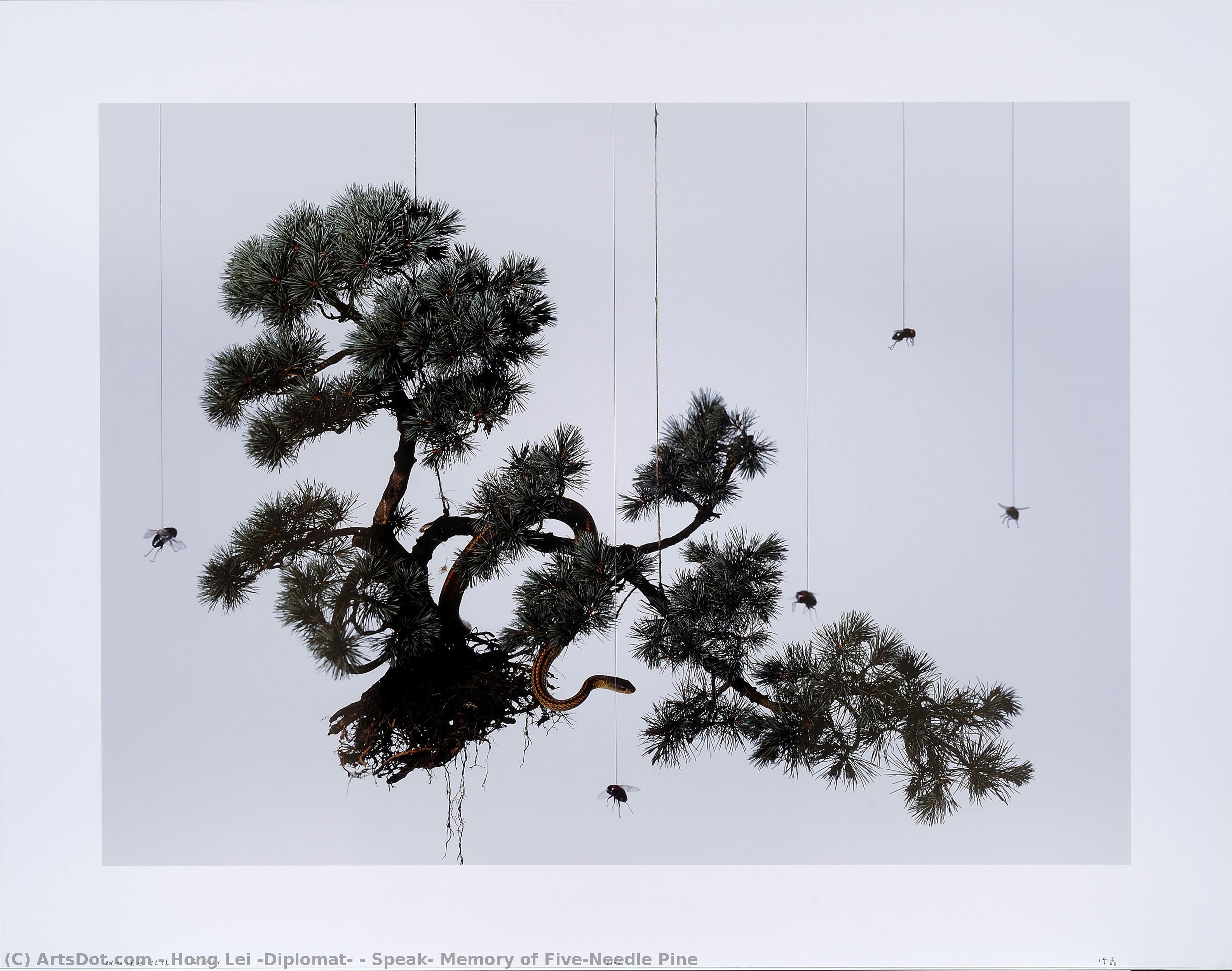 Speak, Memory Of Five-needle Pine — Hong Lei (diplomat)