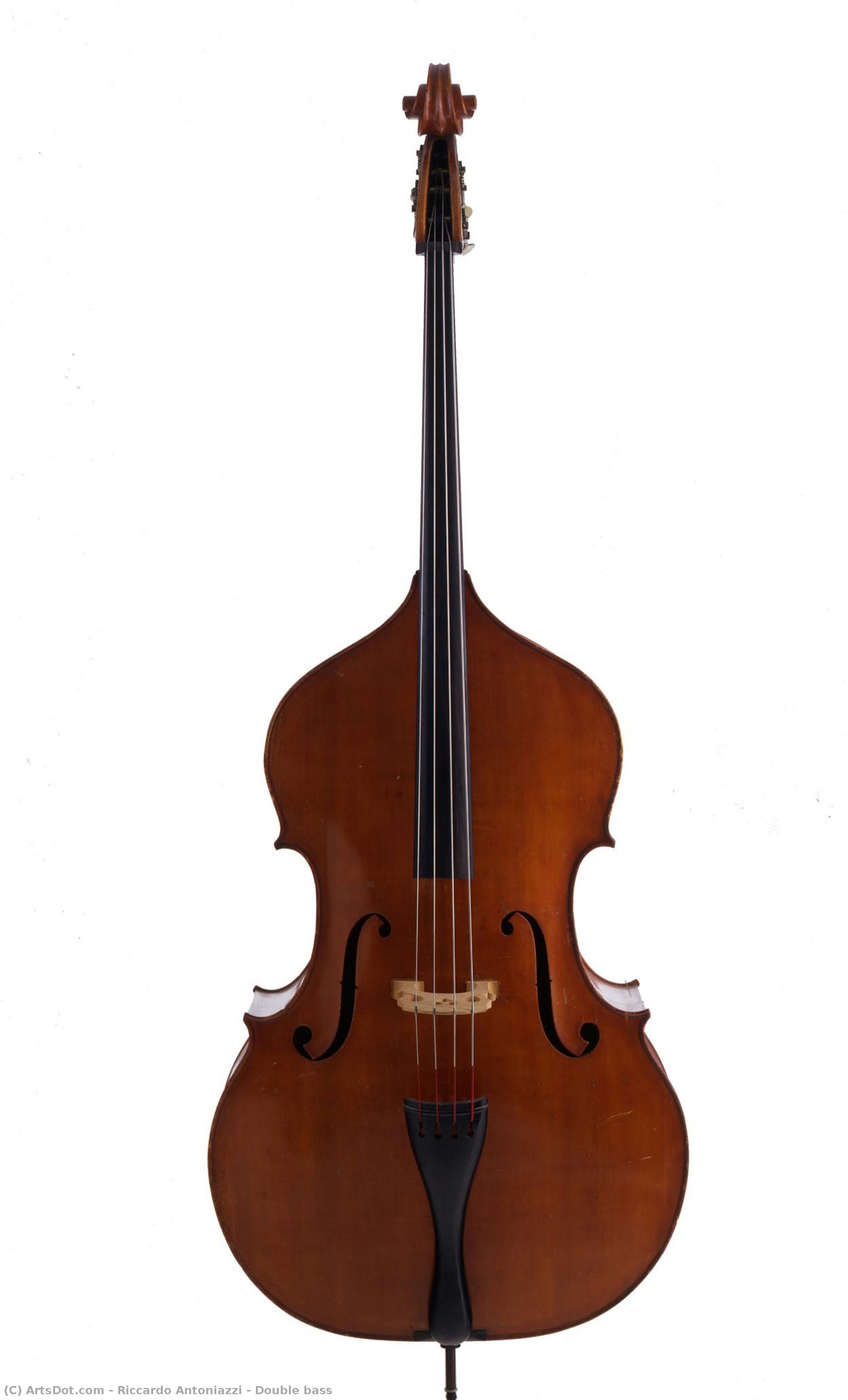 Double Bass — Riccardo Antoniazzi