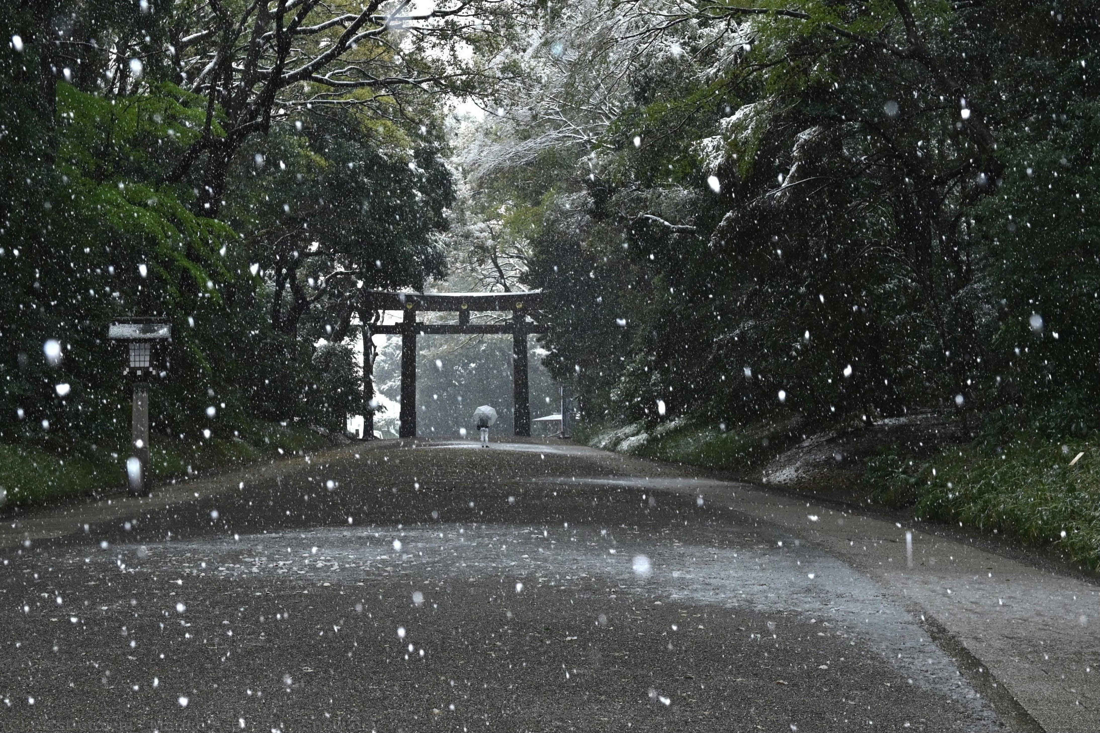 Snow Day — Mariko Asayama