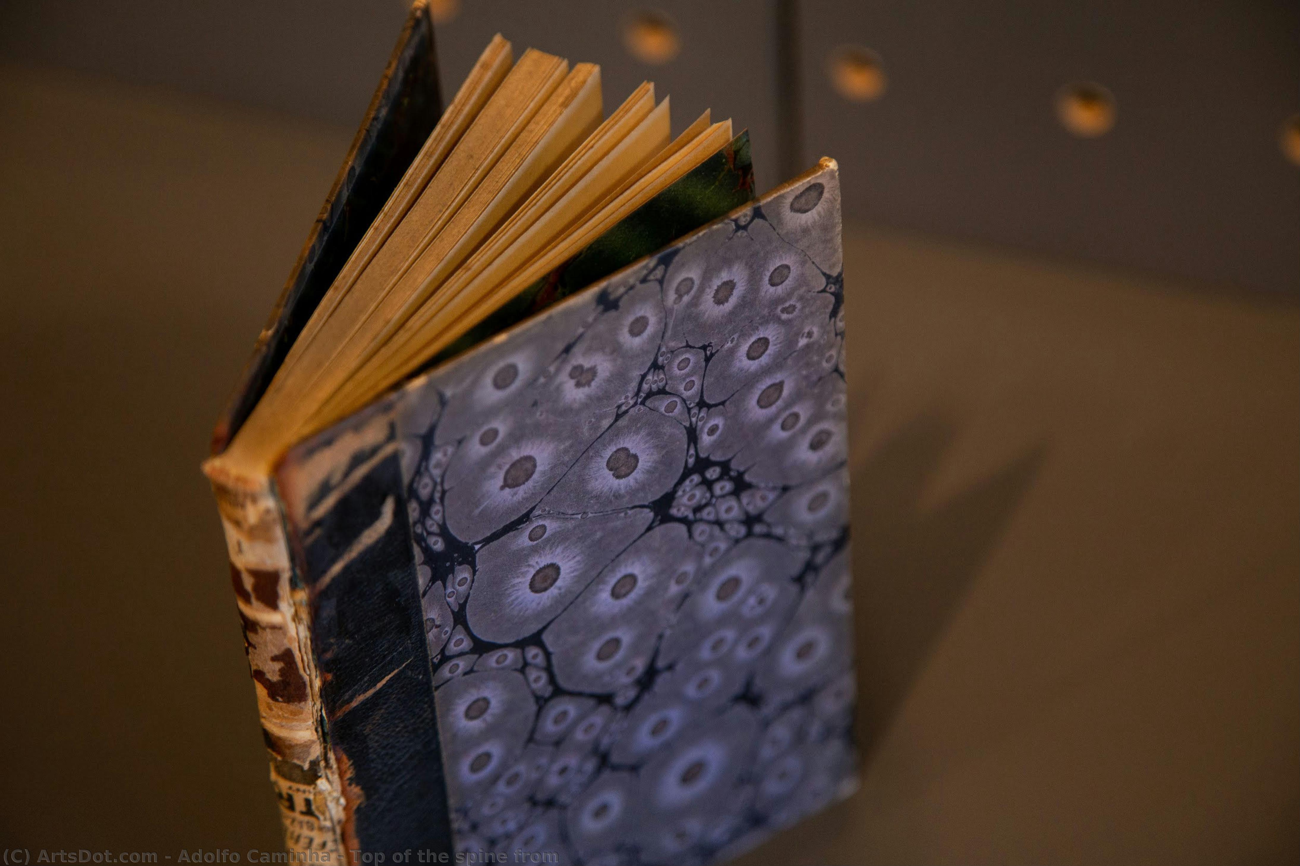 Top Of The Spine From — Adolfo Caminha