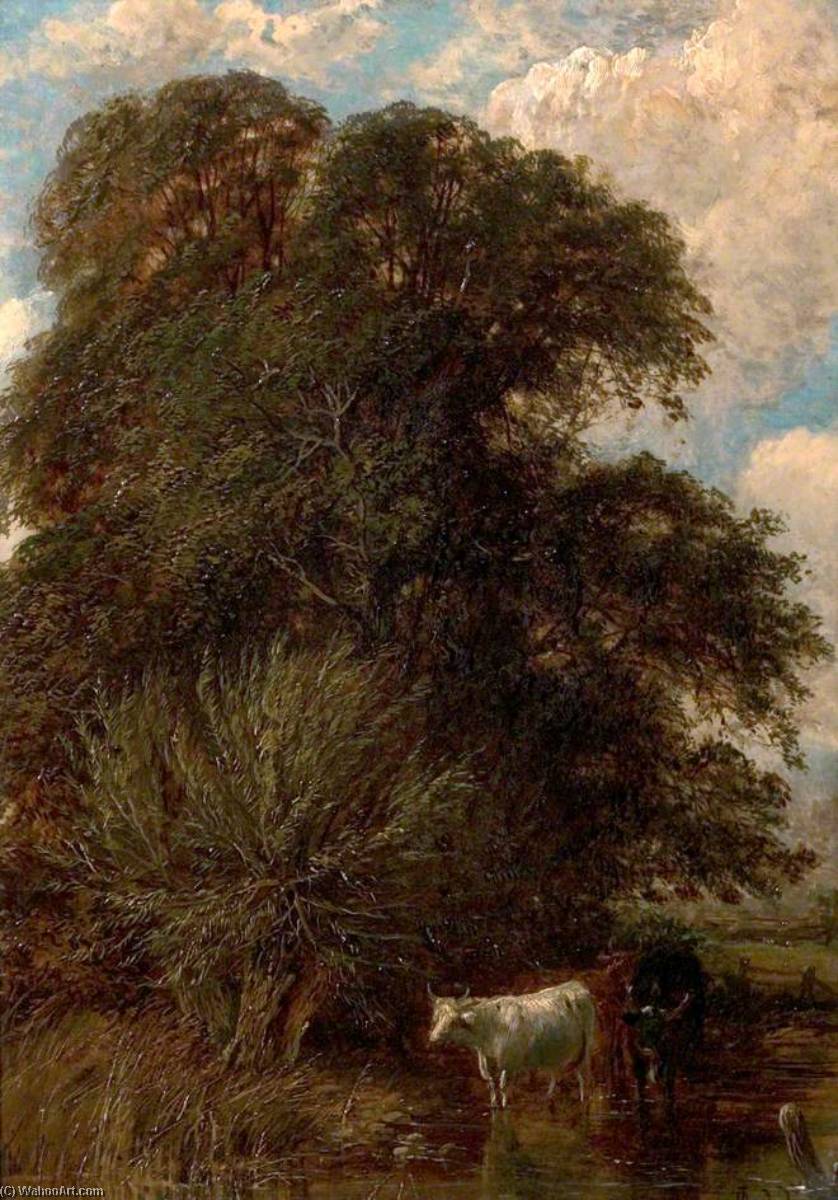 Cows In The Shadow Of A Tree — James Walsham Baldock