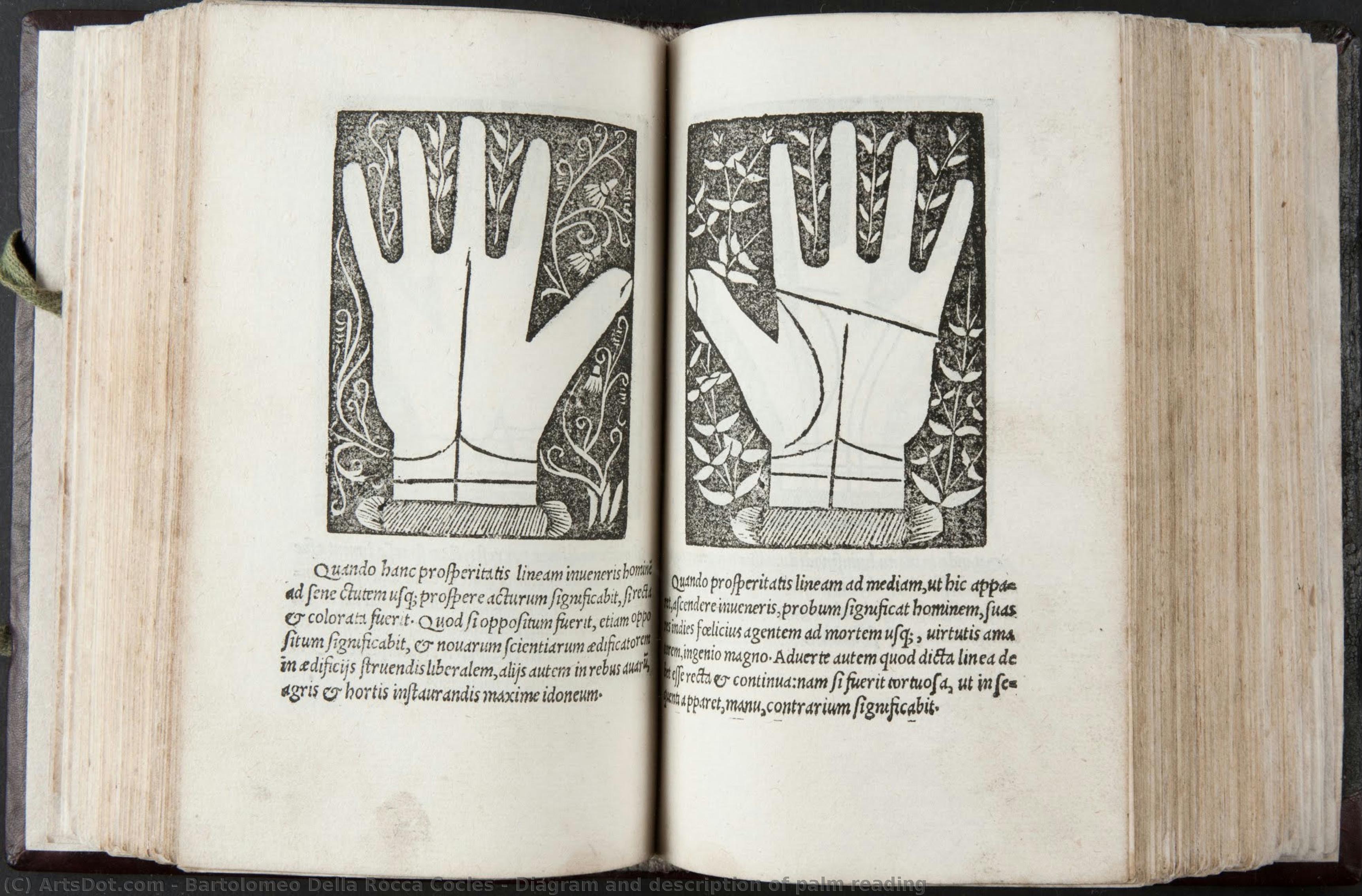 Diagram And Description Of Palm Reading — Bartolomeo Della Rocca Cocles