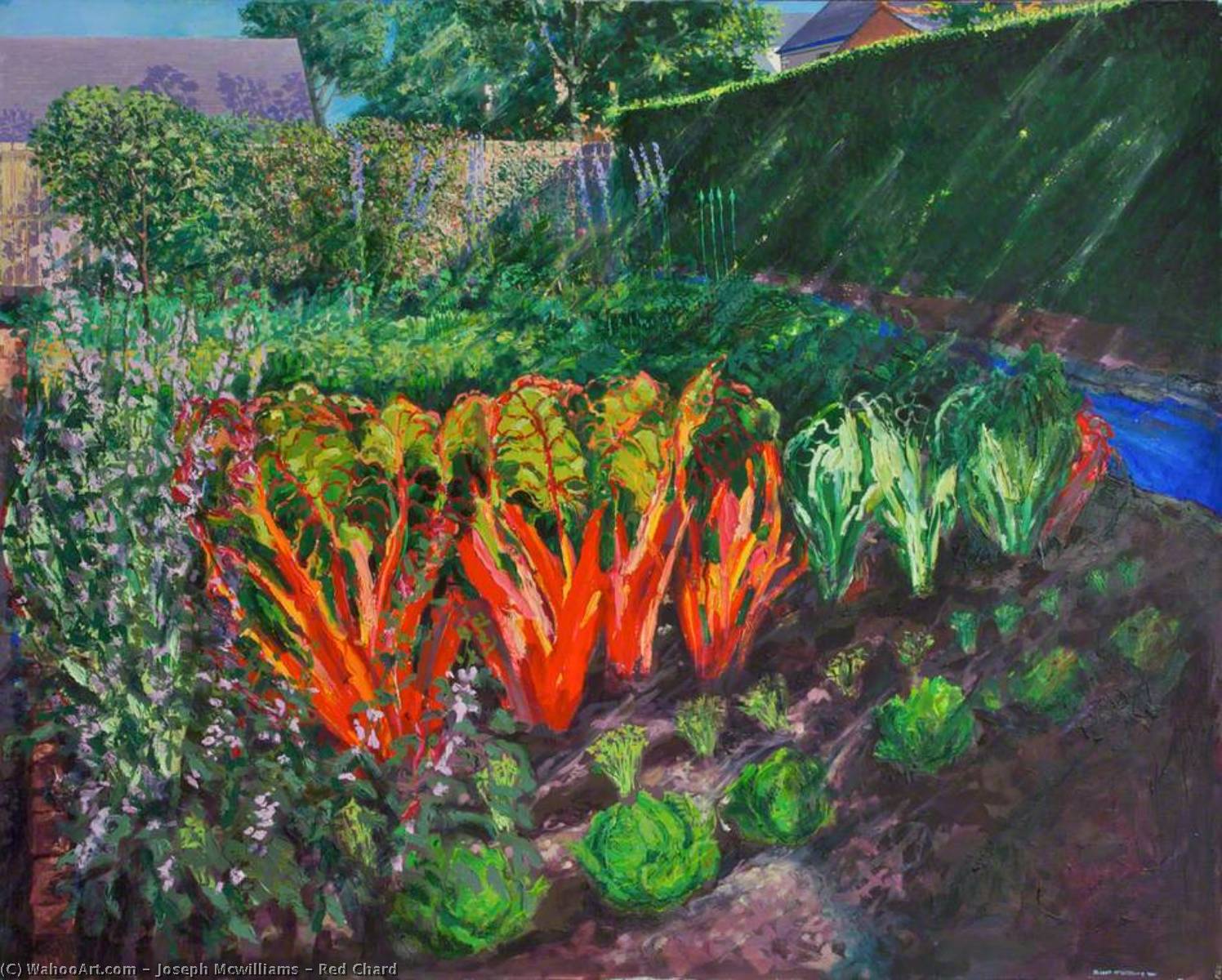 Red Chard — Joseph Mcwilliams