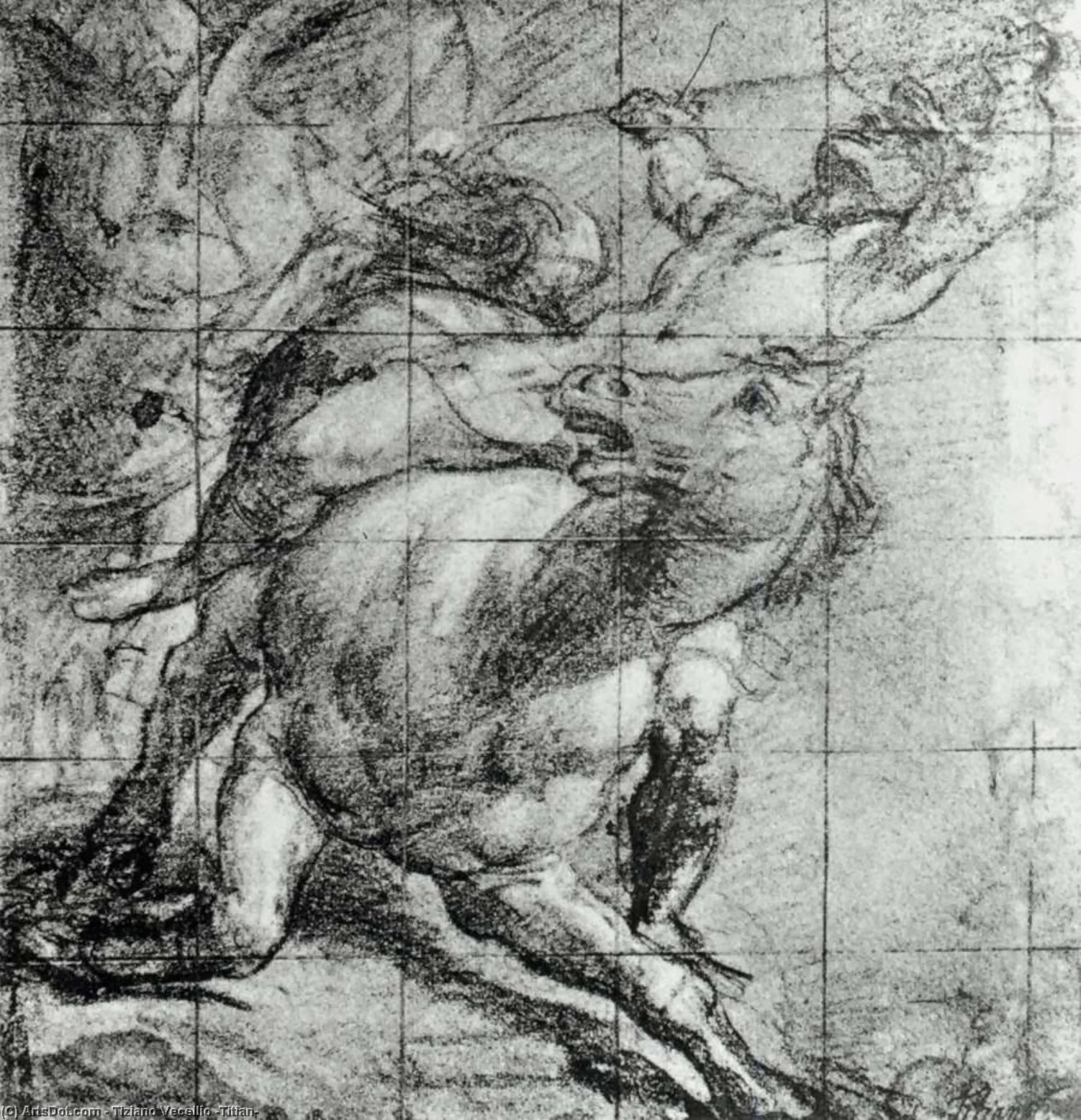 Horse And Rider — Тициан