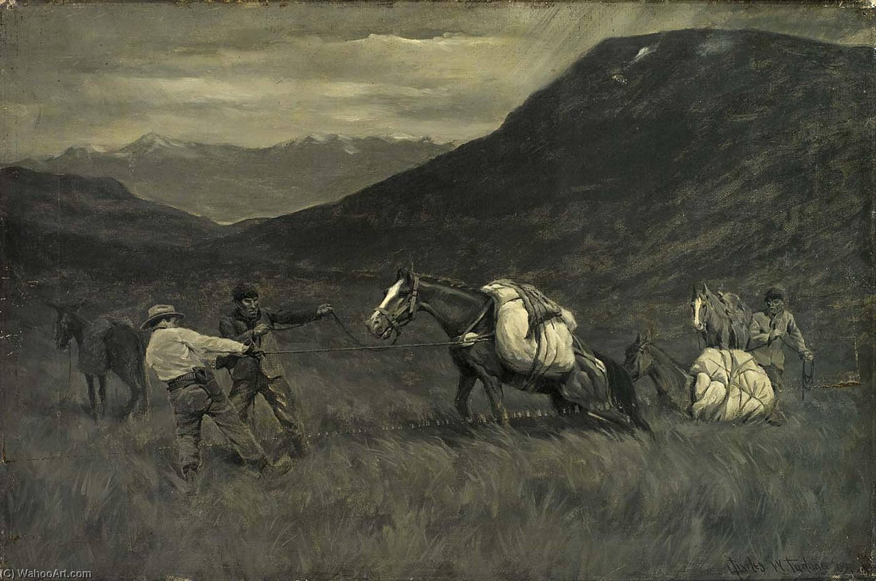 Hard Going On The Bog Lands Of Tierra Del Fuego — Charles Wellington Furlong