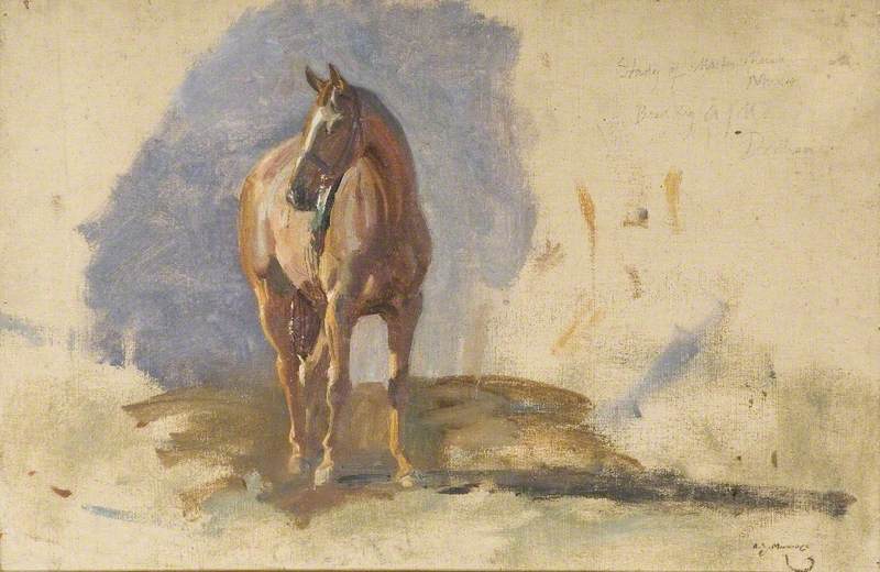 Study Of A Bay Horse, 'master', Bred By The Artist At Dedham — Sir Alfred James Munnings