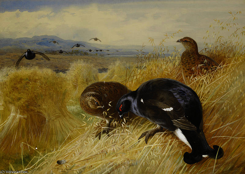 On The Stooks - Blackgame — Archibald Thorburn