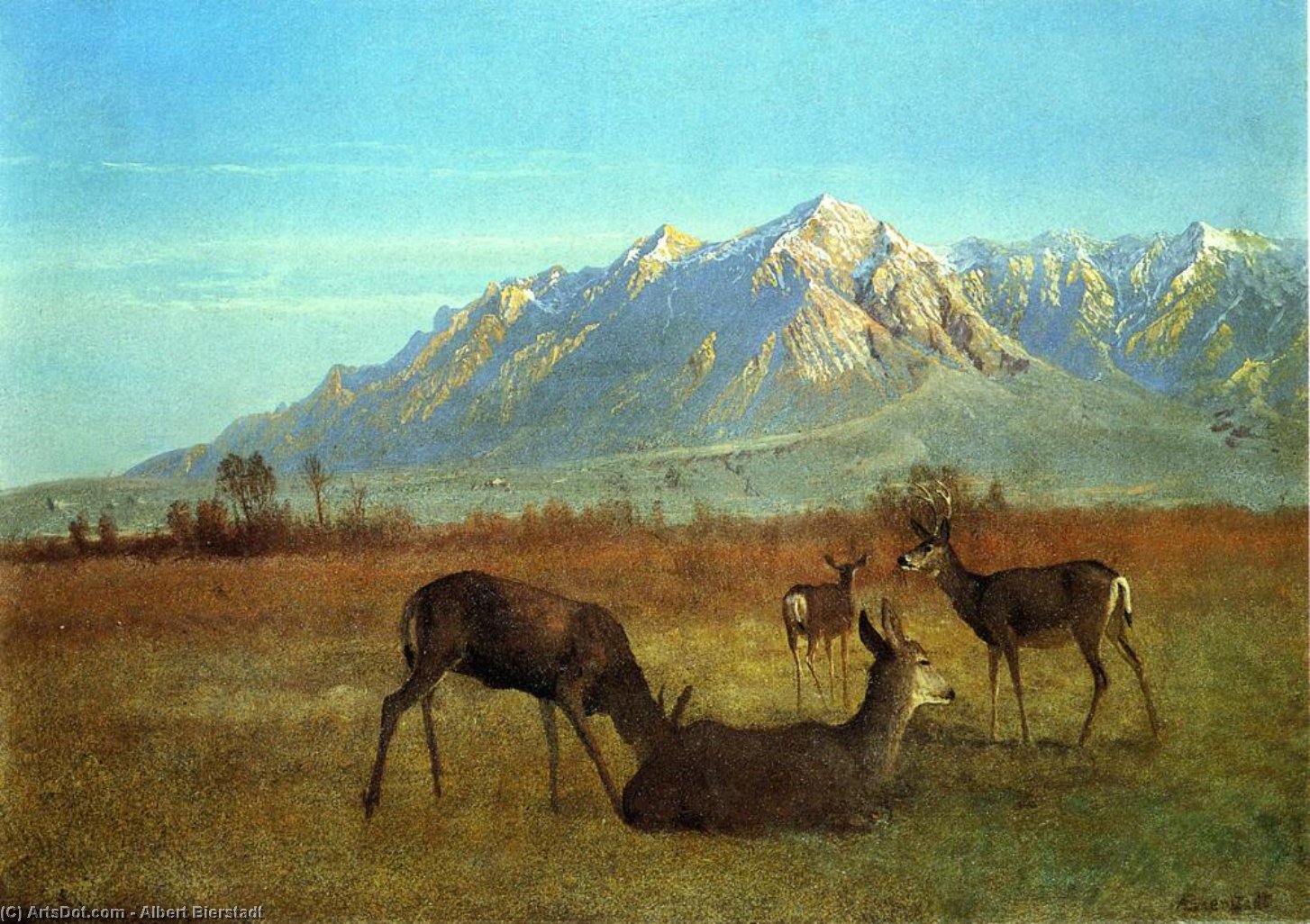Deer In A Mountain Home — Albert Bierstadt