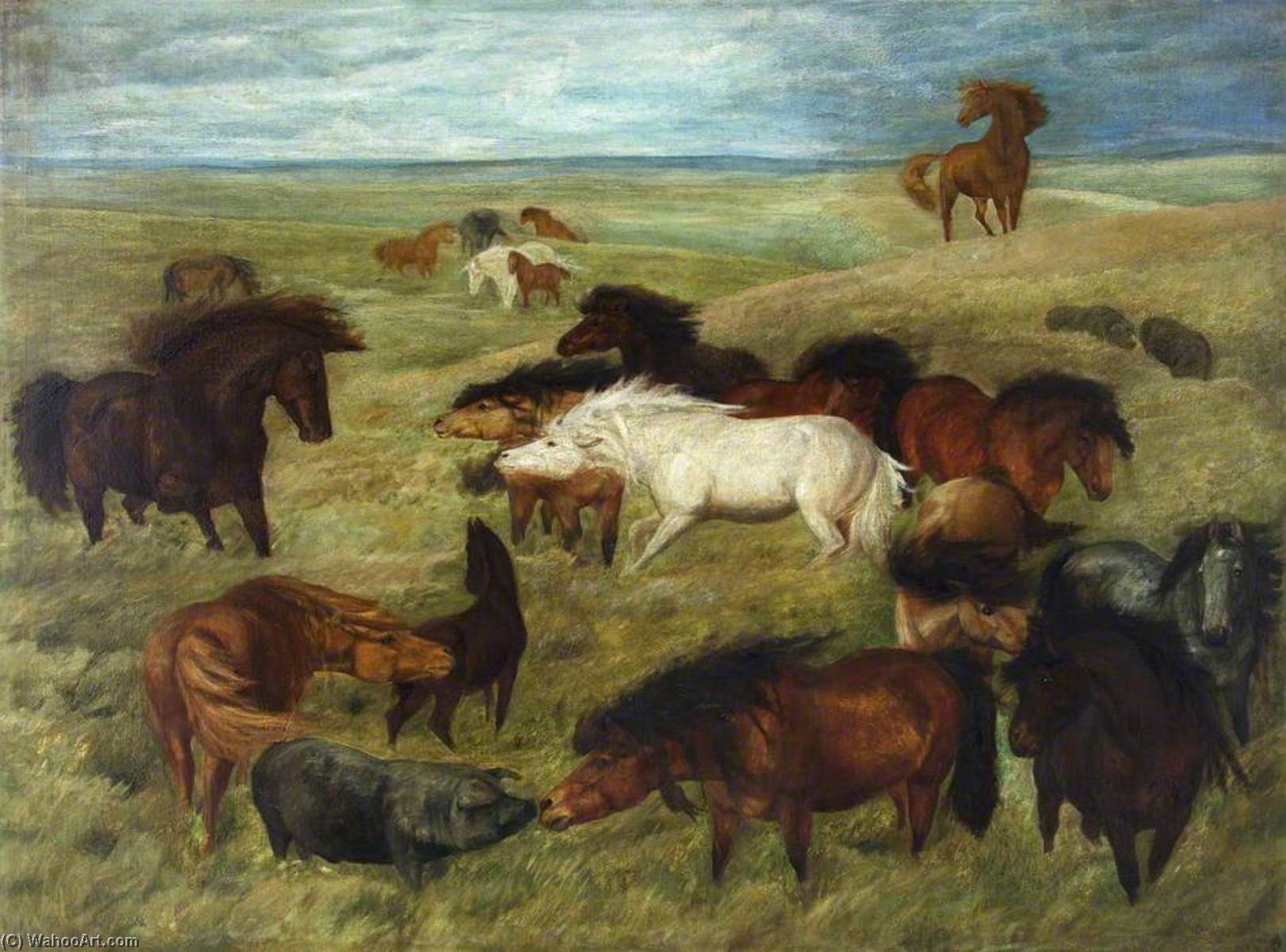 Wild Horses And Pigs — John Trivett Nettleship