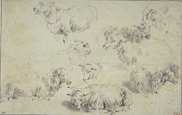 Study Of Nine Sheep 1 — Nicolaes Pietersz Berchem