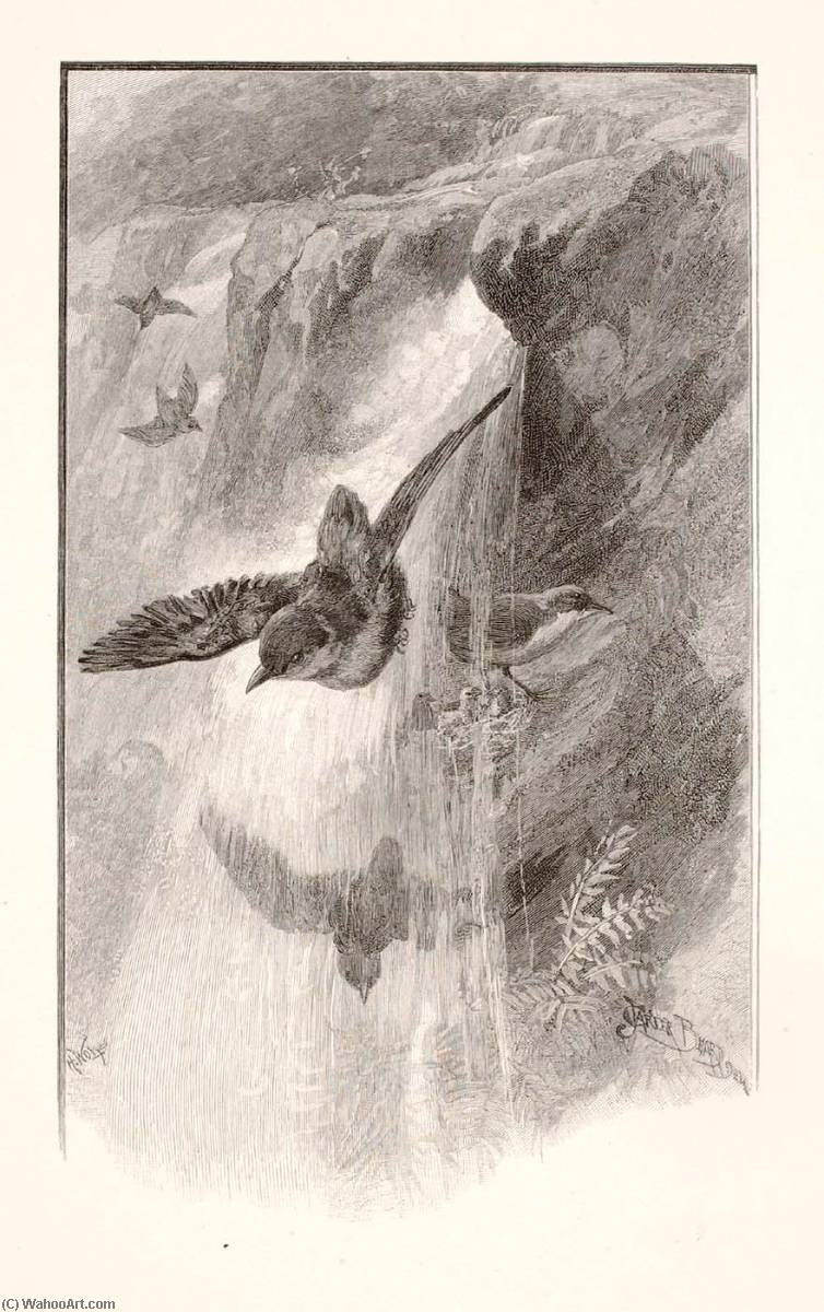 The Bird That Lives In Water Falls — Henry Wolf