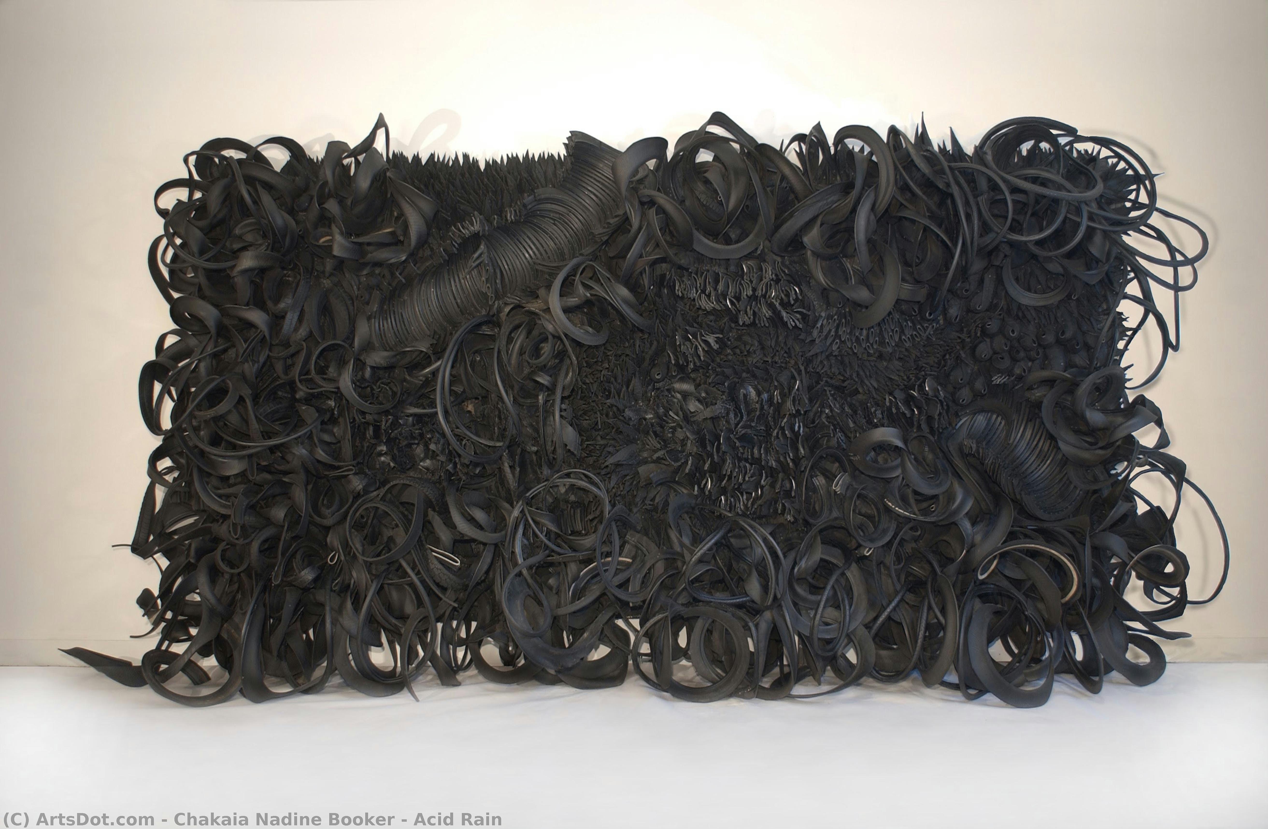 Acid Rain — Chakaia Nadine Booker