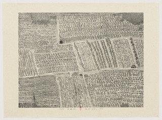 Cropland From Series Of Repetitions — Xu Bing