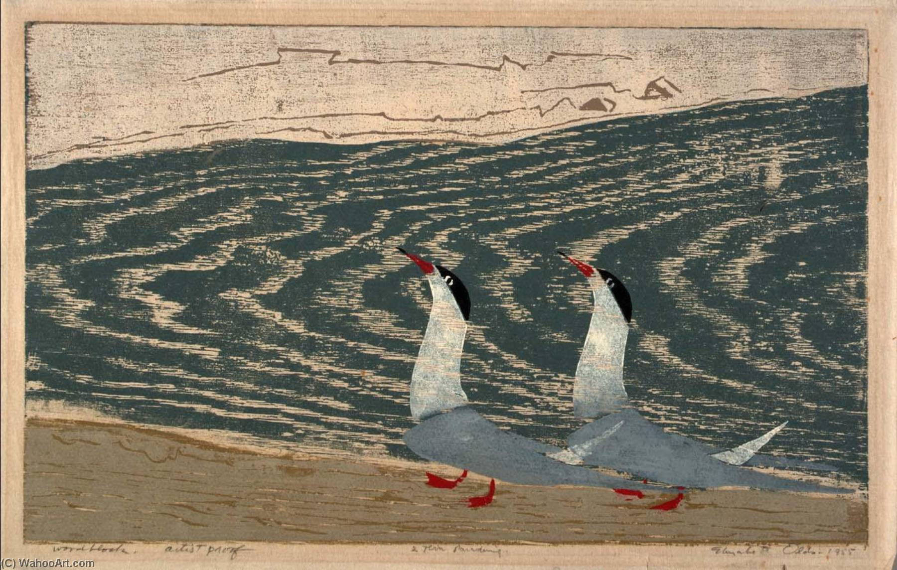 Two Terns Parading — Elizabeth Olds