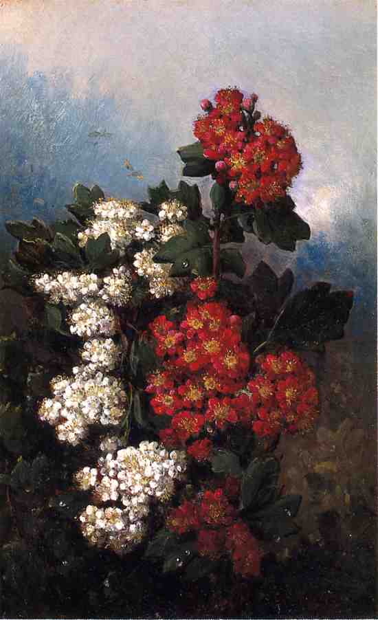 Flowers And Butterflies — John Williamson