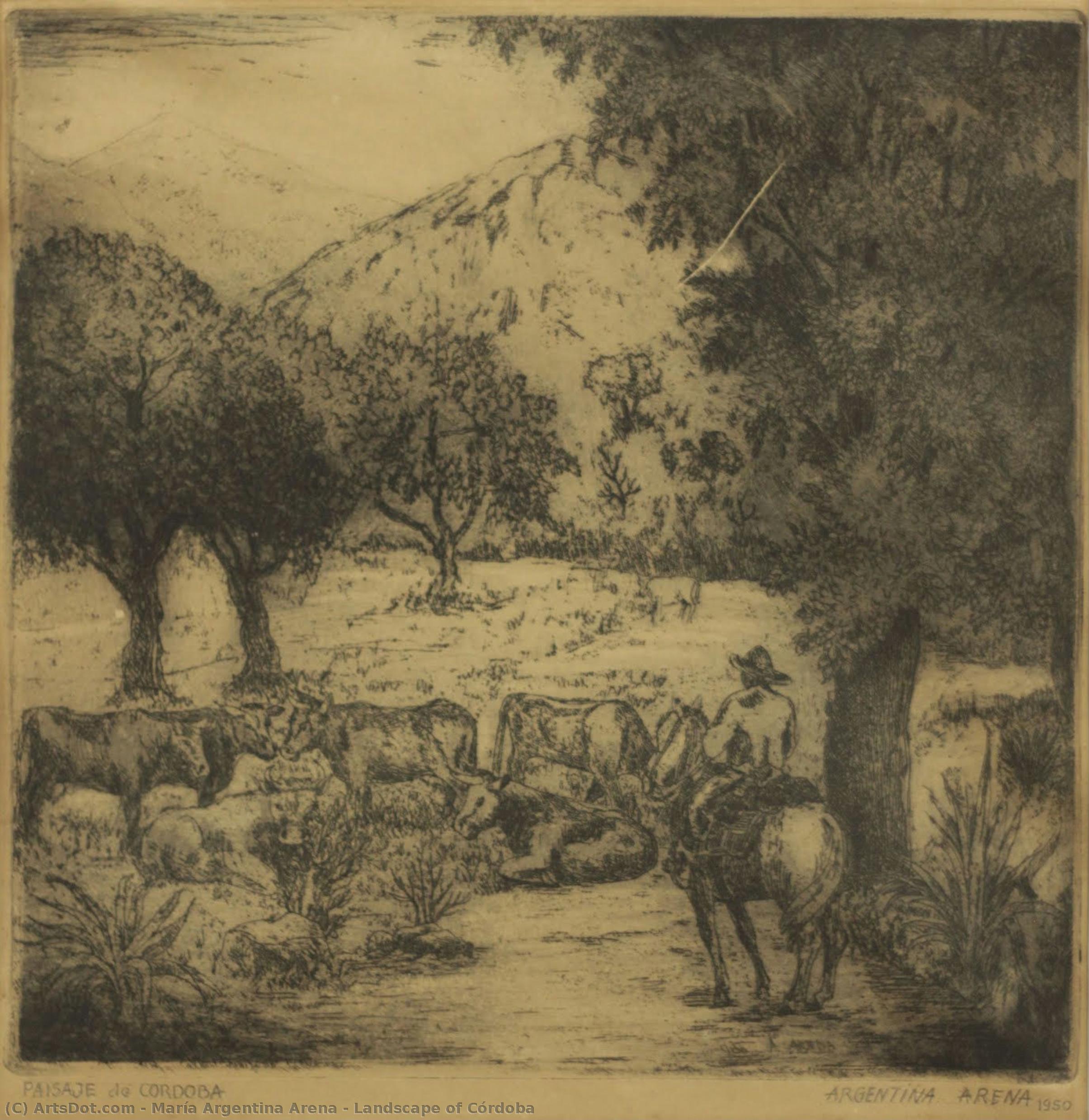 Landscape Of Córdoba — María Argentina Arena