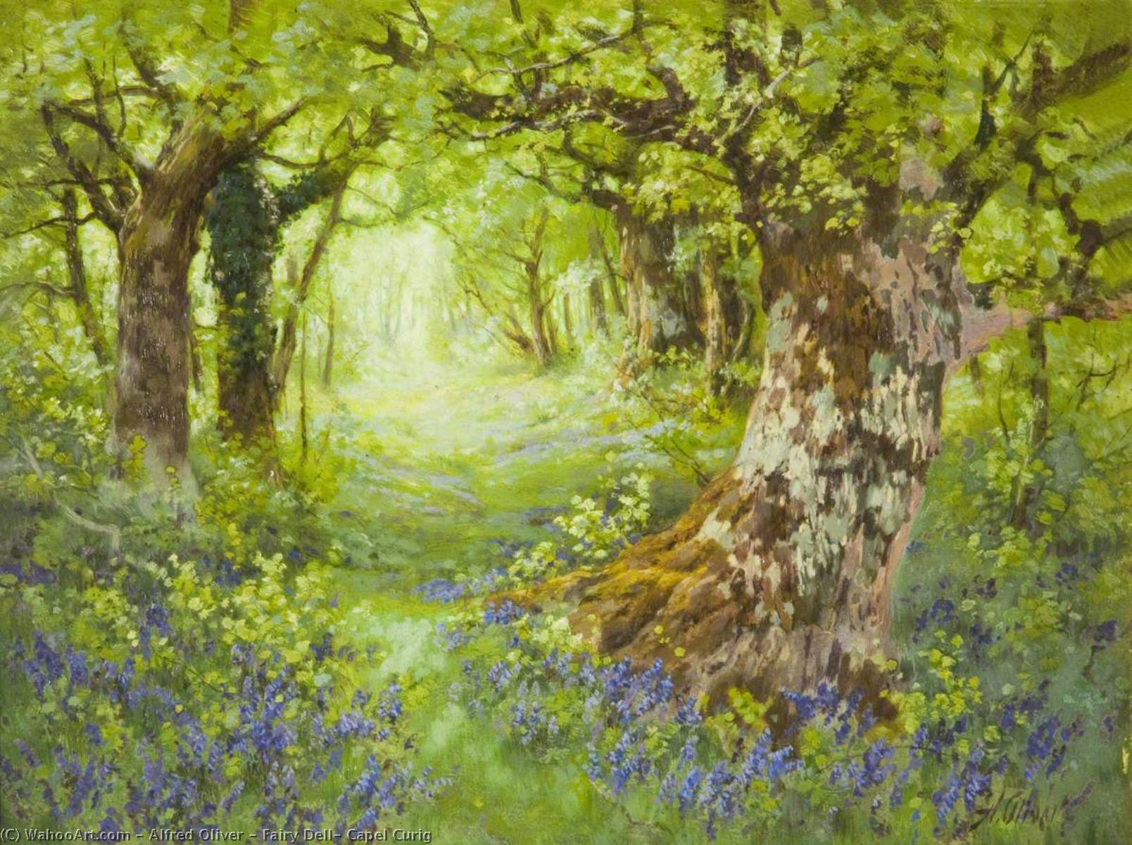 Fairy Dell, Capel Curig — Alfred Oliver