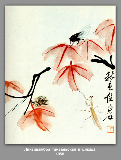 Likvidambra Taiwan And The Cicada — Qi Baishi