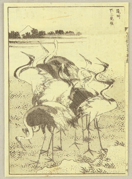 Eine Hundert Ansichten Vom Fuji — Katsushika Hokusai