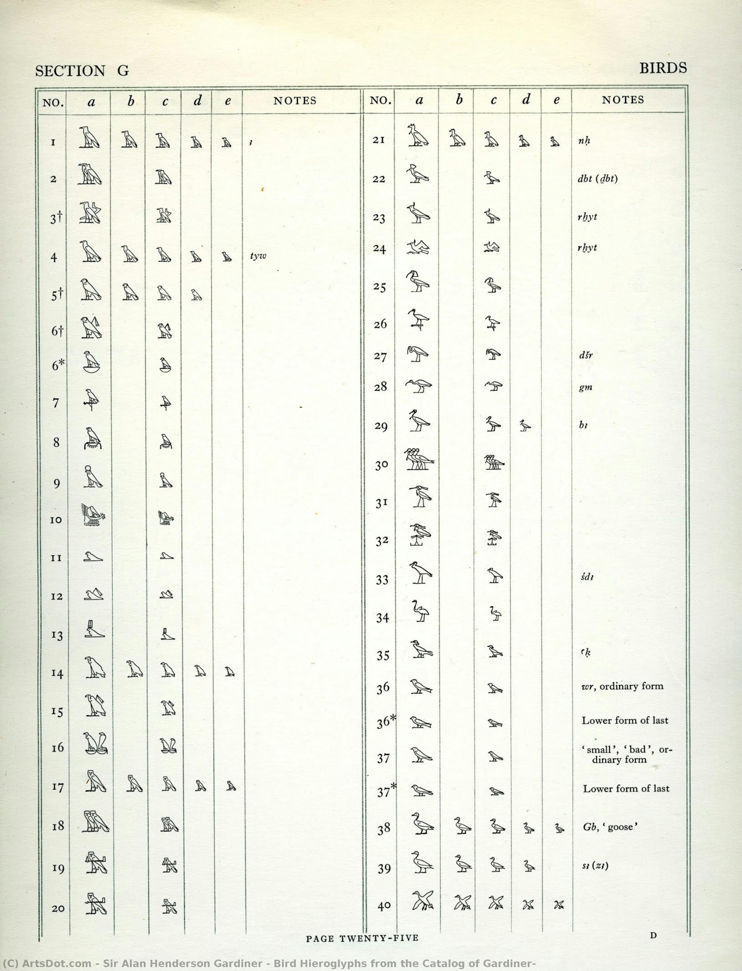 Bird Hieroglyphs From The Catalog Of Gardiner — Sir Alan Henderson Gardiner
