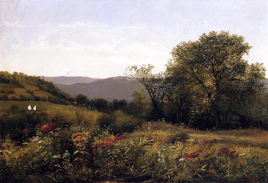 Flowering Field — Jerome B Thompson