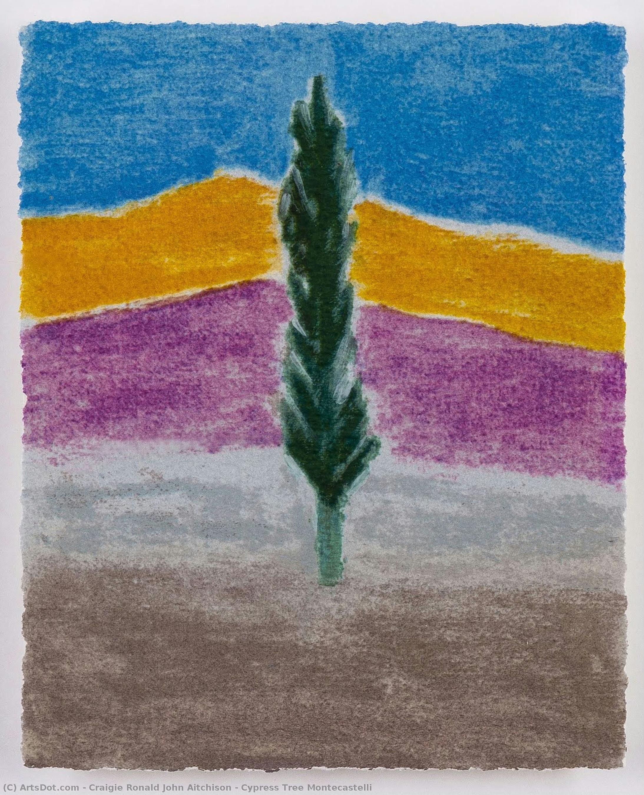 Cypress Tree Montecastelli — Craigie Ronald John Aitchison