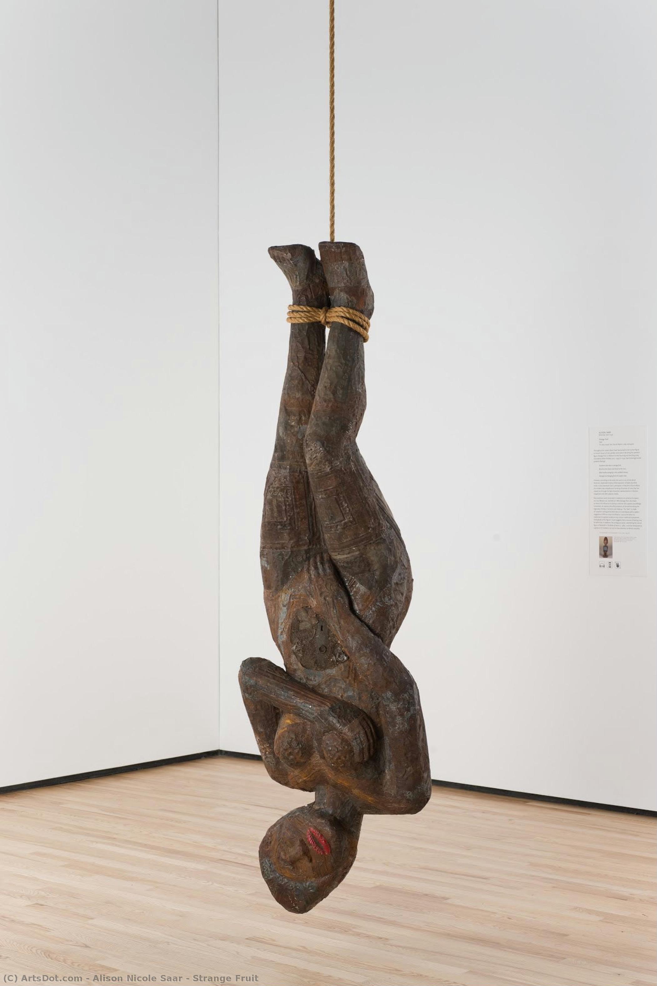 Strange Fruit — Alison Nicole Saar