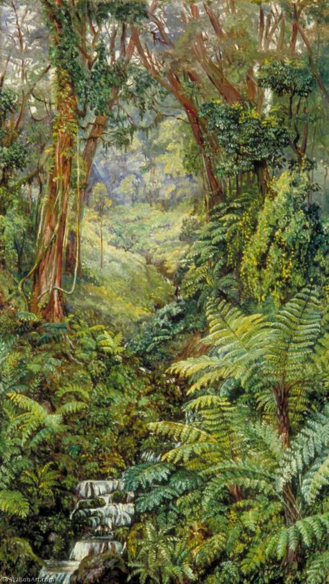 Valley Of Ferns Near Rungaroon, India — Marijana Nort